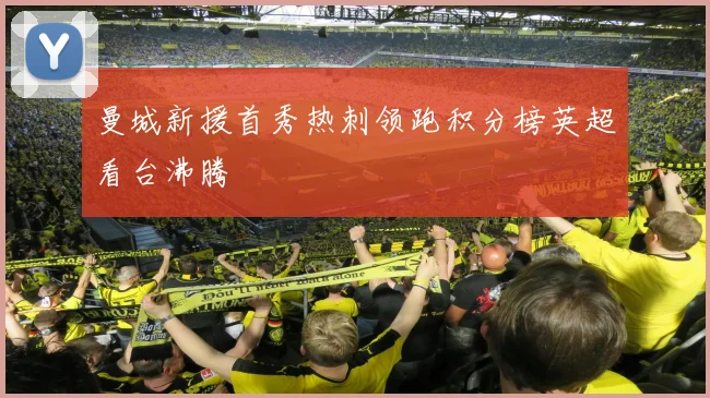 曼城新援首秀热刺领跑积分榜英超看台沸腾