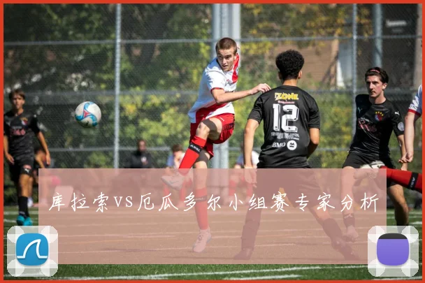 库拉索vs厄瓜多尔小组赛专家分析