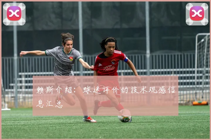 赖斯介绍：球迷评价的技术观感信息汇总