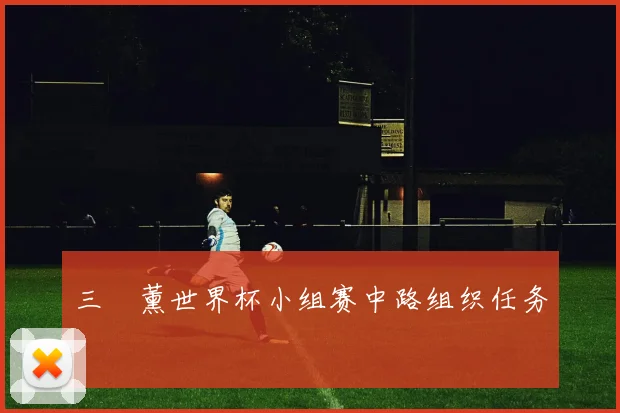 三笘薰世界杯小组赛中路组织任务