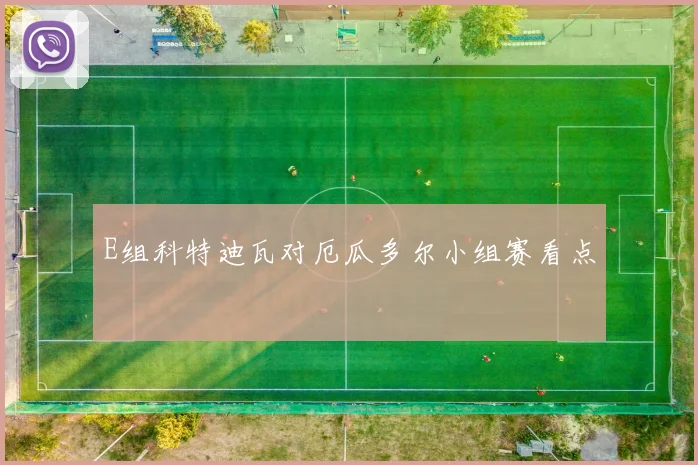 E组科特迪瓦对厄瓜多尔小组赛看点