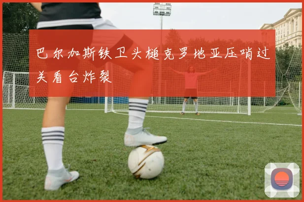 巴尔加斯铁卫头槌克罗地亚压哨过关看台炸裂