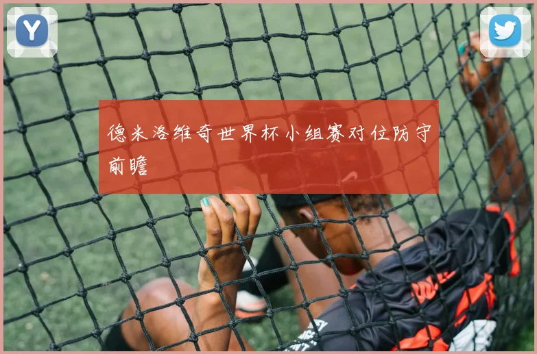 德米洛维奇世界杯小组赛对位防守前瞻
