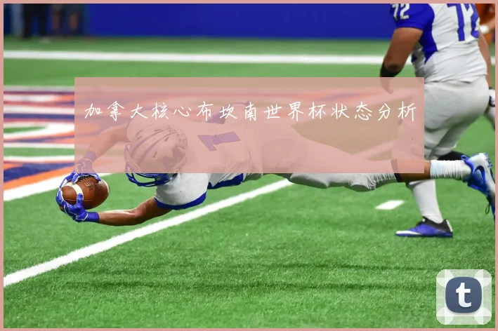 加拿大核心布坎南世界杯状态分析