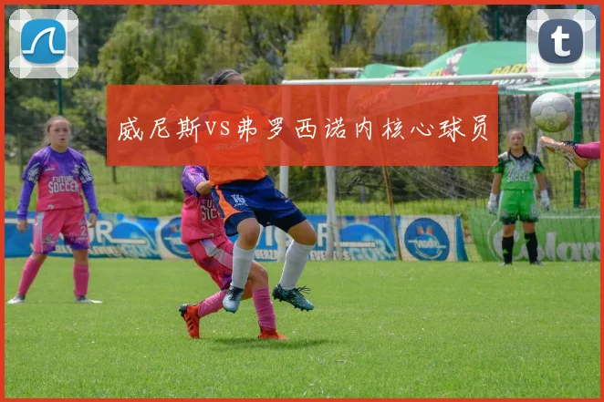 威尼斯vs弗罗西诺内核心球员