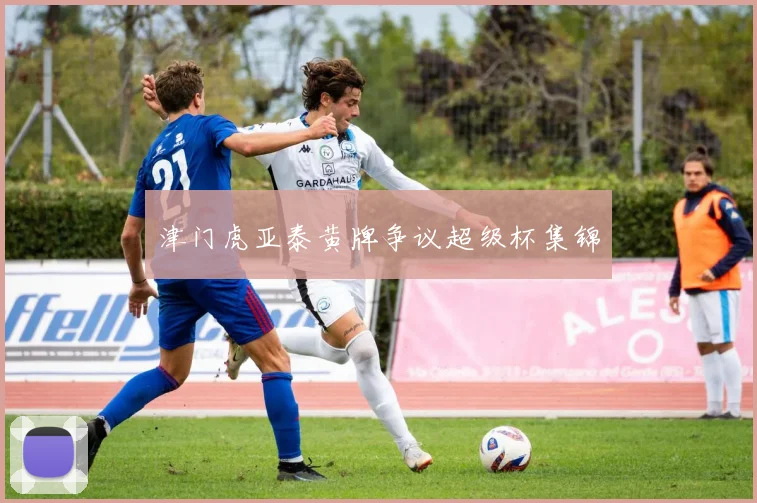 津门虎亚泰黄牌争议超级杯集锦