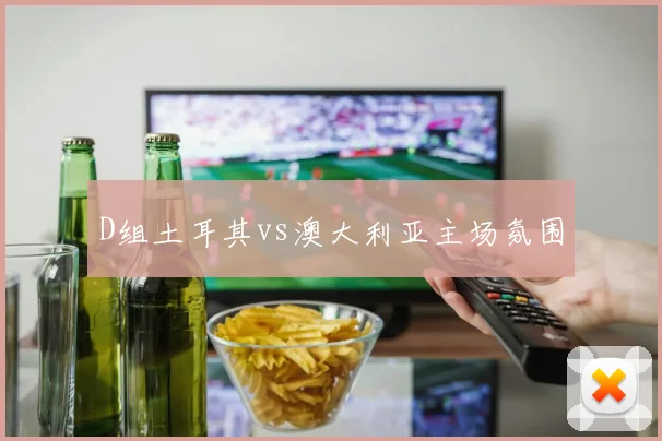 D组土耳其vs澳大利亚主场氛围