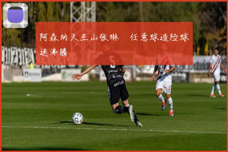 阿森纳天王山张琳芃任意球造险球迷沸腾