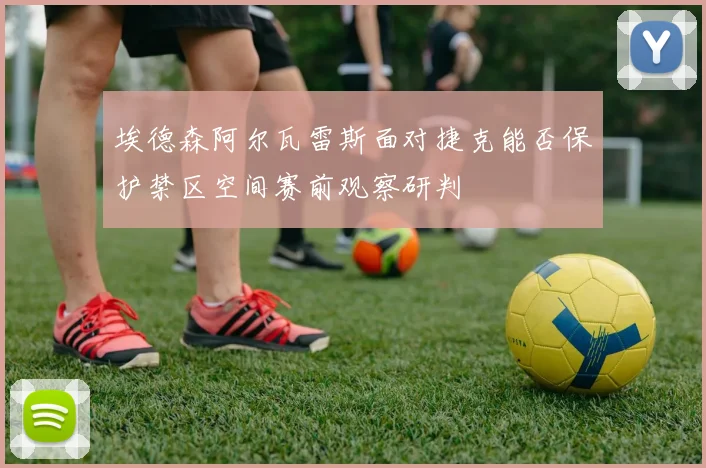 埃德森阿尔瓦雷斯面对捷克能否保护禁区空间赛前观察研判